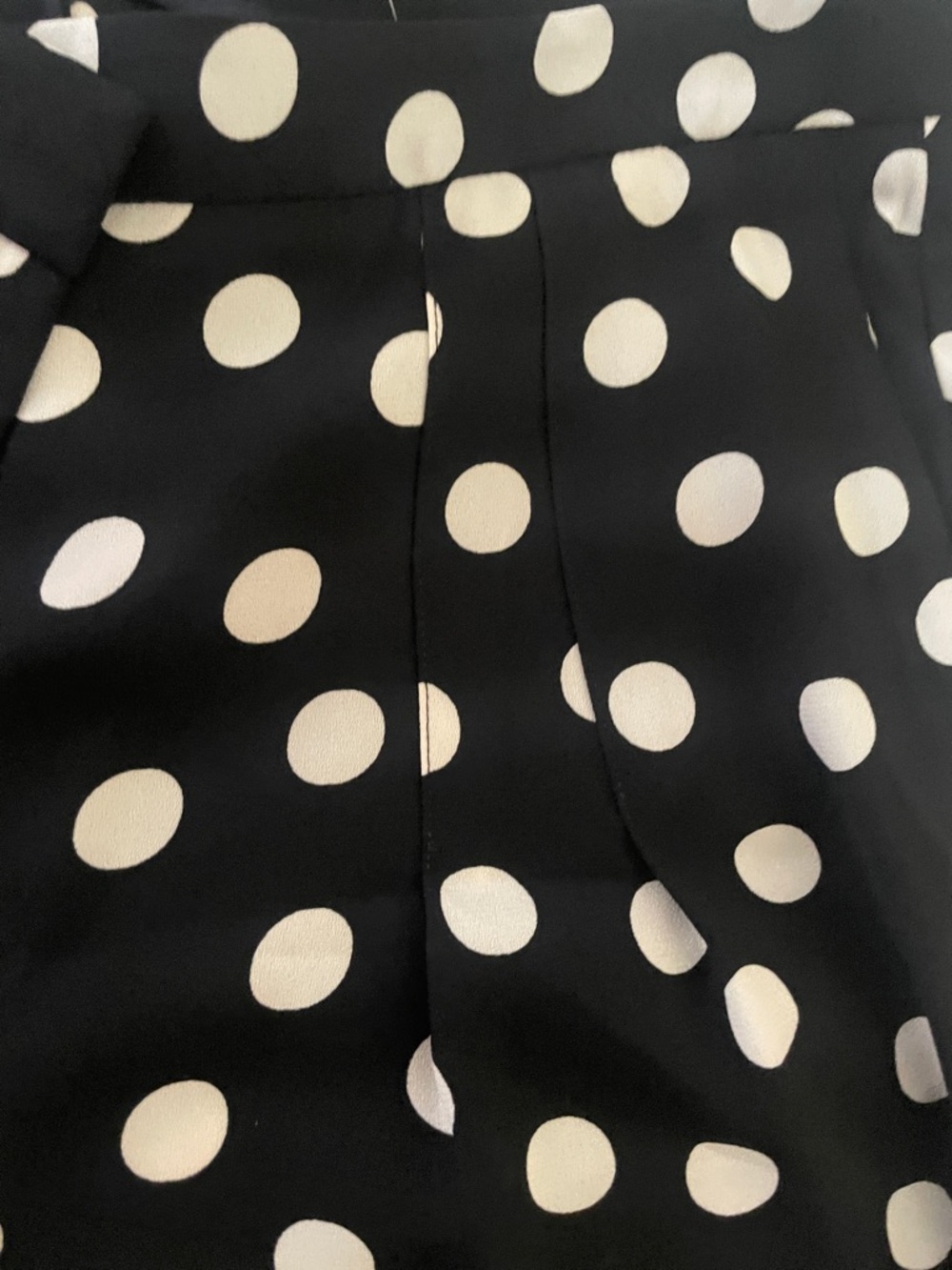 Ann Taylor Black Wide-Leg Pants with White Polka Dots - Picture 8 of 8
